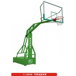 通宝体育器材 体育用品篮球架厂家 香港篮球架厂家
